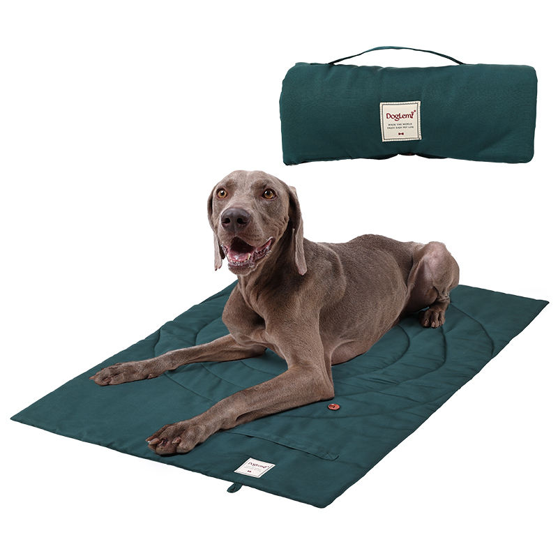 حصيرة الحيوانات الأليفة المحمو - مراجعة Outdoor Rug Waterproof وسعره